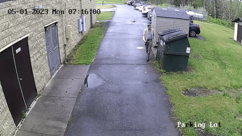 Black bear surprises Nicholas County principal at school's dumpster
