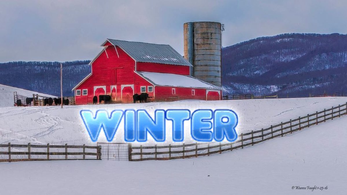 Winter Graphic