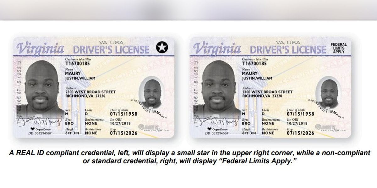 vermont drivers license check