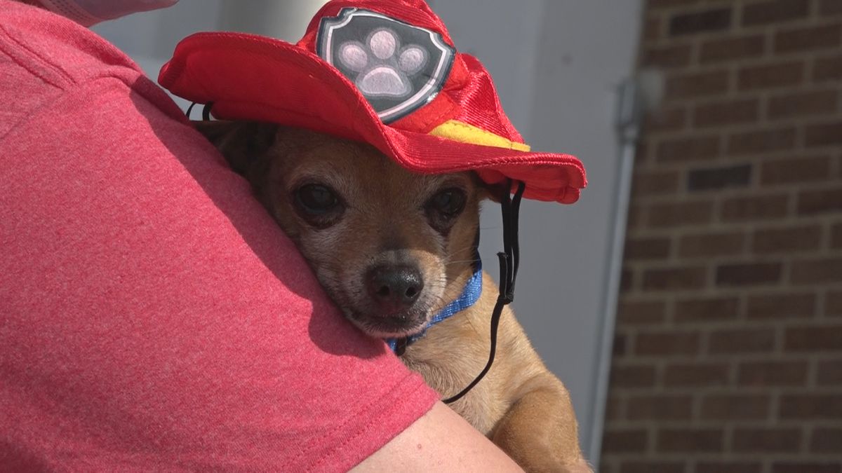 HFD AND RHSPCA FIRE SAFETY EVENT