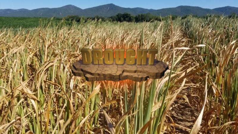 Local Drought