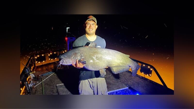 Officials in Virginia say a man set a new state record after arrowing a 66-pound blue catfish...