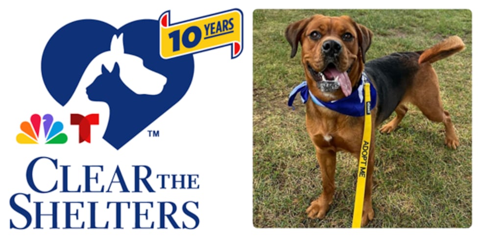 WHSV - Rockingham-Harrisonburg SPCA