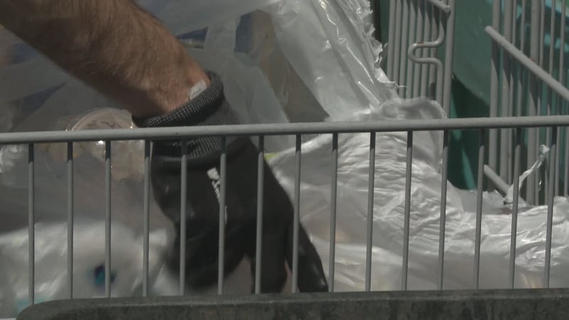 Single-use plastic ban
