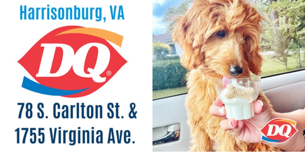 WHSV - Rockingham-Harrisonburg SPCA