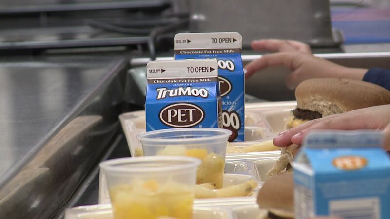 A local dietitian says a healthy school lunch is crucial for a successful school day of learning.