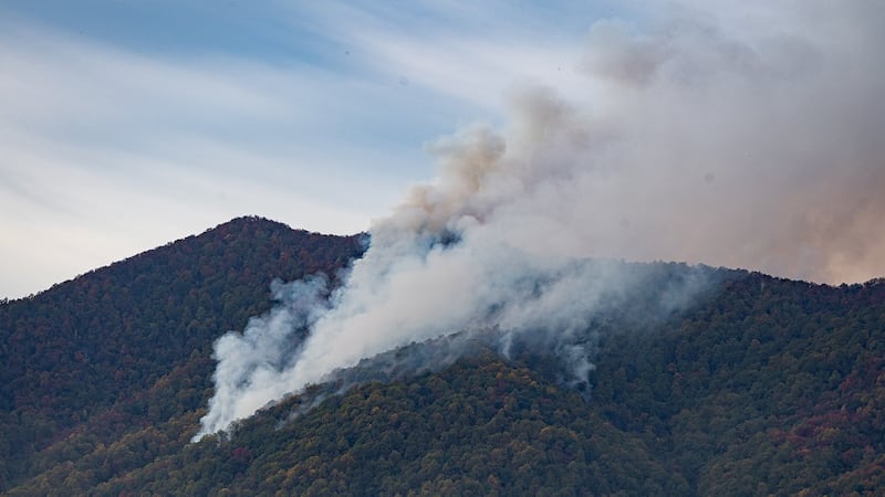 Photo provided by the Virginia Department of Forestry