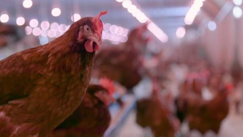 Cooper said the number of poultry houses in Rockingham County is continuing to grow.